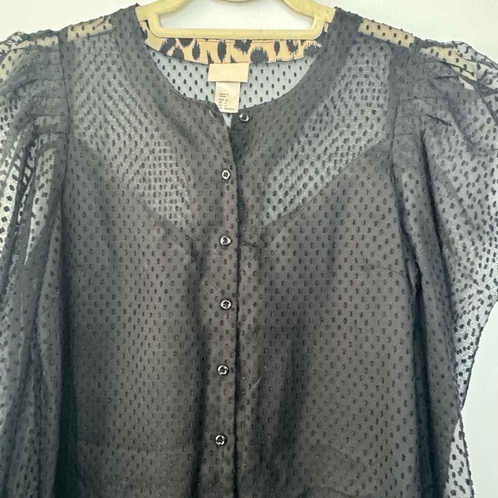 H&M Lace Polka Dot Sheer Top – Size 4, Puffed Sleeves - Picture 2 of 16